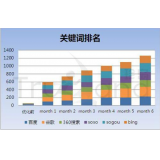 利津如何防止SEO关键词排名下降